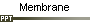 Membrane